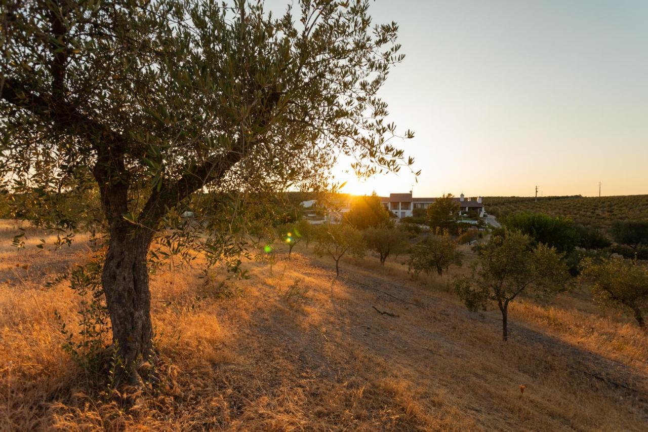 מורה Monte Da Estrela - Country House & Spa מראה חיצוני תמונה